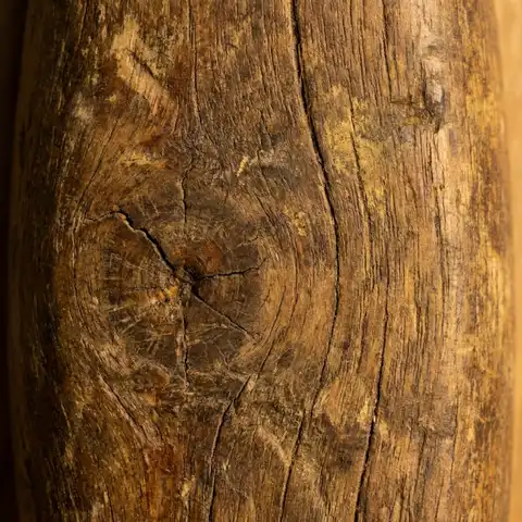 A close view of a weathered wood handle, showing grain, patina, and wear, isolated against a plain out-of-focus background.